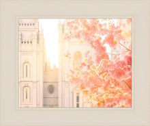Load image into Gallery viewer, Salt Lake Blossom Glow