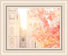 Load image into Gallery viewer, Salt Lake Blossom Glow
