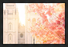 Load image into Gallery viewer, Salt Lake Blossom Glow