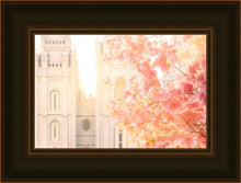 Load image into Gallery viewer, Salt Lake Blossom Glow