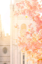 Load image into Gallery viewer, Salt Lake Blossom Glow