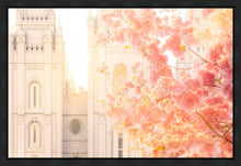 Load image into Gallery viewer, Salt Lake Blossom Glow