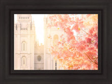 Load image into Gallery viewer, Salt Lake Blossom Glow