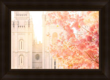 Load image into Gallery viewer, Salt Lake Blossom Glow