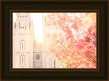 Load image into Gallery viewer, Salt Lake Blossom Glow