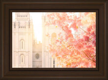 Load image into Gallery viewer, Salt Lake Blossom Glow