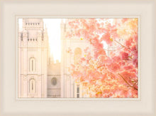 Load image into Gallery viewer, Salt Lake Blossom Glow