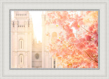 Load image into Gallery viewer, Salt Lake Blossom Glow