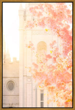 Load image into Gallery viewer, Salt Lake Blossom Glow