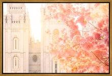 Load image into Gallery viewer, Salt Lake Blossom Glow