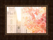 Load image into Gallery viewer, Salt Lake Blossom Glow