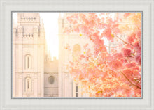 Load image into Gallery viewer, Salt Lake Blossom Glow