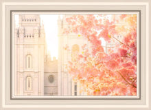 Load image into Gallery viewer, Salt Lake Blossom Glow