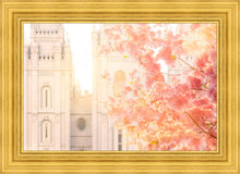 Load image into Gallery viewer, Salt Lake Blossom Glow