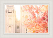Load image into Gallery viewer, Salt Lake Blossom Glow