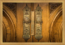 Load image into Gallery viewer, Salt Lake Eternal Doors