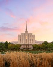 Load image into Gallery viewer, Oquirrh Grassy Morning