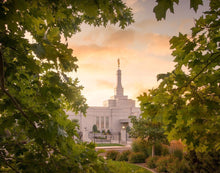 Load image into Gallery viewer, Reno Gardens