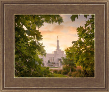 Load image into Gallery viewer, Reno Gardens