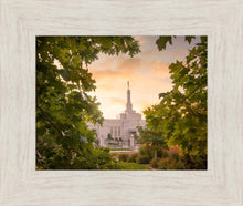 Load image into Gallery viewer, Reno Gardens