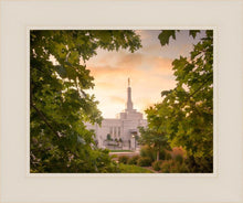 Load image into Gallery viewer, Reno Gardens