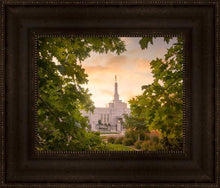 Load image into Gallery viewer, Reno Gardens