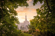 Load image into Gallery viewer, Reno Gardens