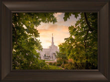 Load image into Gallery viewer, Reno Gardens