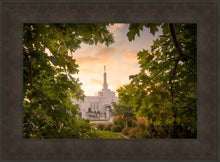 Load image into Gallery viewer, Reno Gardens