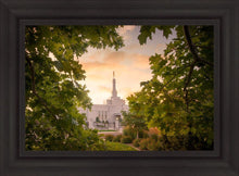 Load image into Gallery viewer, Reno Gardens