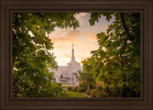 Load image into Gallery viewer, Reno Gardens