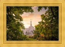 Load image into Gallery viewer, Reno Gardens