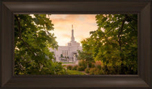 Load image into Gallery viewer, Reno Gardens