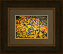 Load image into Gallery viewer, Sacred Grove Autumn From Heaven
