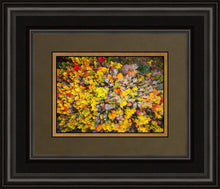 Load image into Gallery viewer, Sacred Grove Autumn From Heaven
