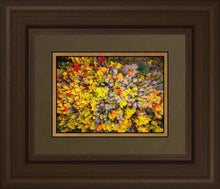 Load image into Gallery viewer, Sacred Grove Autumn From Heaven