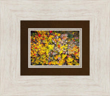 Load image into Gallery viewer, Sacred Grove Autumn From Heaven