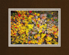 Load image into Gallery viewer, Sacred Grove Autumn From Heaven