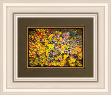 Load image into Gallery viewer, Sacred Grove Autumn From Heaven