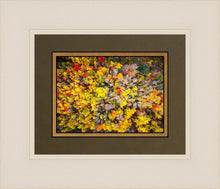 Load image into Gallery viewer, Sacred Grove Autumn From Heaven