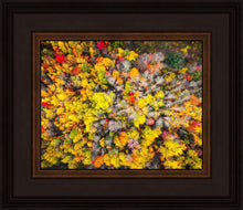 Load image into Gallery viewer, Sacred Grove Autumn From Heaven