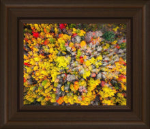 Load image into Gallery viewer, Sacred Grove Autumn From Heaven