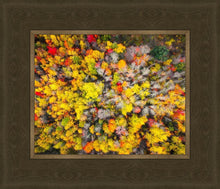 Load image into Gallery viewer, Sacred Grove Autumn From Heaven