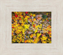 Load image into Gallery viewer, Sacred Grove Autumn From Heaven