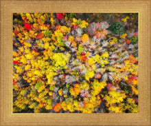Load image into Gallery viewer, Sacred Grove Autumn From Heaven