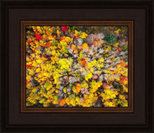 Load image into Gallery viewer, Sacred Grove Autumn From Heaven