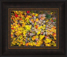 Load image into Gallery viewer, Sacred Grove Autumn From Heaven