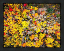 Load image into Gallery viewer, Sacred Grove Autumn From Heaven