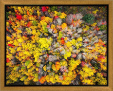 Load image into Gallery viewer, Sacred Grove Autumn From Heaven