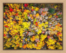 Load image into Gallery viewer, Sacred Grove Autumn From Heaven